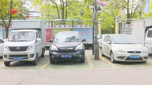 保安服务 东莞麻涌镇构筑和谐社区的中坚力量